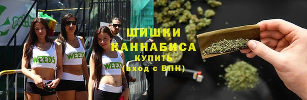 шишки Беломорск