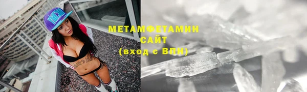 шишки Беломорск