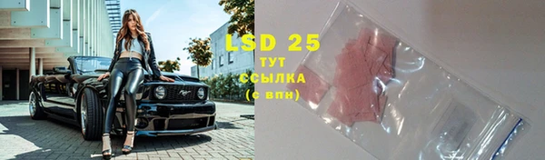 spice Белокуриха