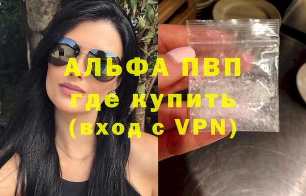 шишки Беломорск