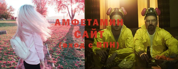шишки Беломорск