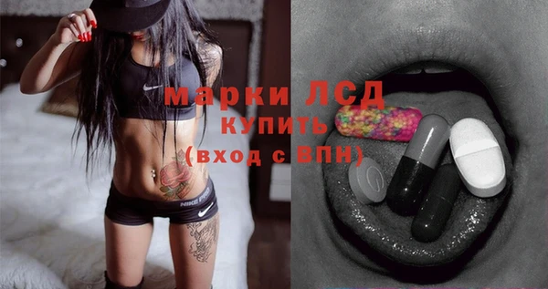 spice Белокуриха