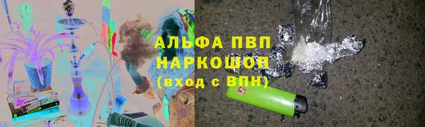 шишки Беломорск