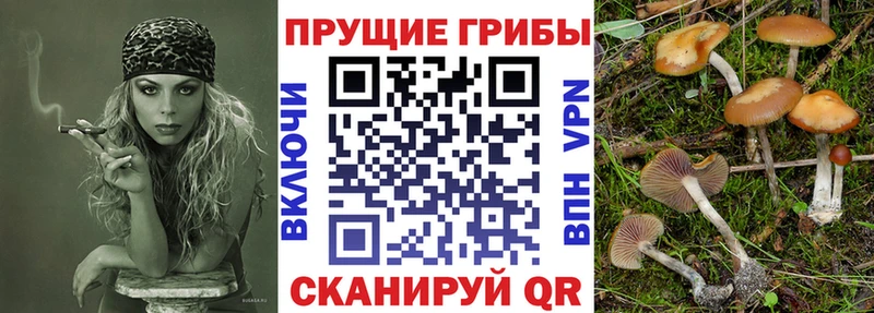 Псилоцибиновые грибы Cubensis  Выкса 